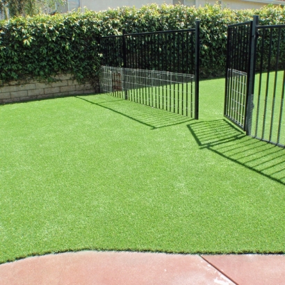 Fake Pet Turf Ames Texas Installation Front Yard