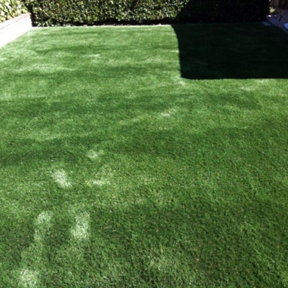 Fake Pet Turf Schulenburg Texas for Dogs Back Yard