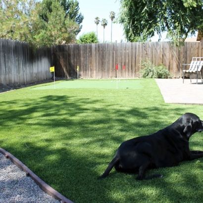 Fake Pet Turf Wixon Valley Texas for Dogs