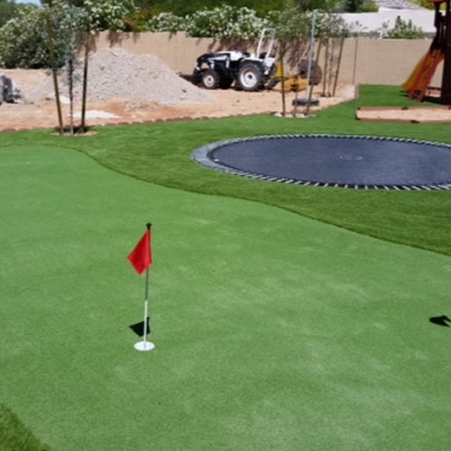 Fake Turf Charlotte, Texas Putting Green, Backyard Designs