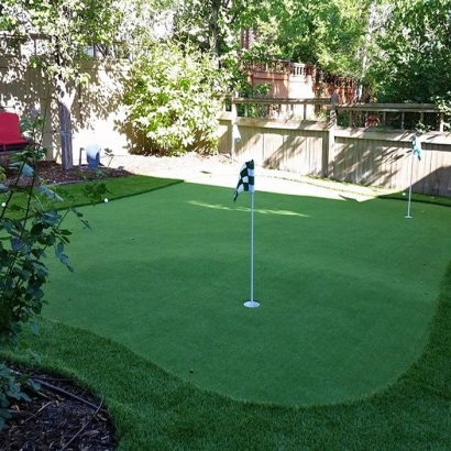 Golf Putting Greens Ames Texas Synthetic Grass Back Yard