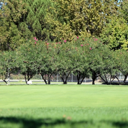 Golf Putting Greens Cibolo Texas Artificial Turf