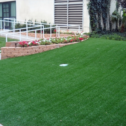Golf Putting Greens Comfort Texas Fake Turf Commercial Landscape