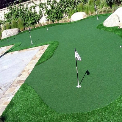 Golf Putting Greens Fort Gates Texas Synthetic Grass Back