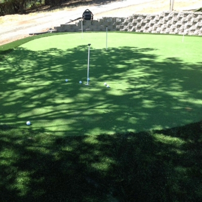 Golf Putting Greens Garfield Texas Synthetic Turf Back Yard
