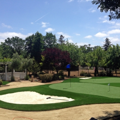 Golf Putting Greens Industry Texas Fake Grass Front Yard