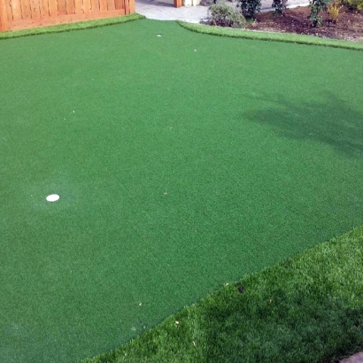 Golf Putting Greens La Vernia Texas Artificial Grass