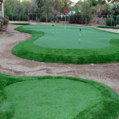 Golf Putting Greens Manor Texas Synthetic Turf Back Yard