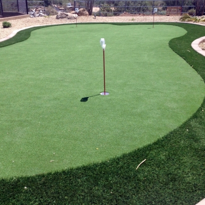 Golf Putting Greens Santa Clara Texas Fake Grass Back Yard