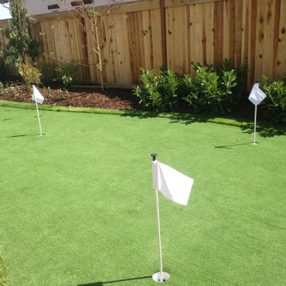 Golf Putting Greens Stonewall Texas Synthetic Grass Back