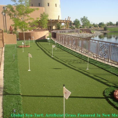 Golf Putting Greens Sunset Valley Texas Synthetic Grass Back