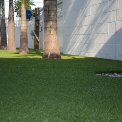 Grass Carpet Valley Mills, Texas Rooftop, Commercial Landscape