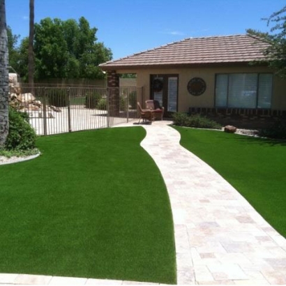 Grass Turf Natalia, Texas Roof Top, Front Yard Landscaping Ideas