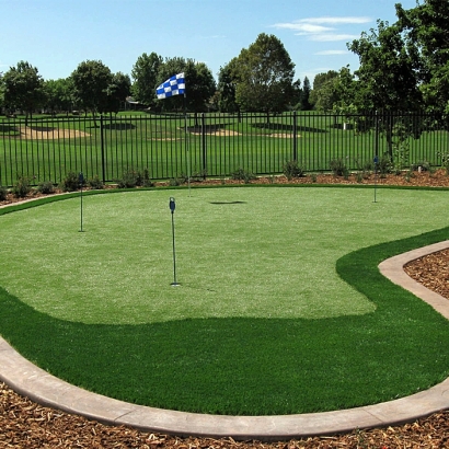 Putting Greens Buchanan Dam Texas Synthetic Turf Back Yard