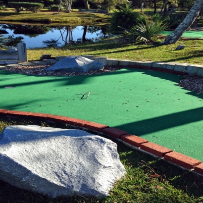 Putting Greens Hackberry Texas Synthetic Turf Back Yard