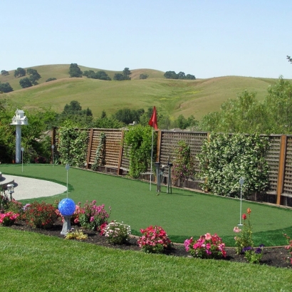 Putting Greens Industry Texas Artificial Grass Back Yard