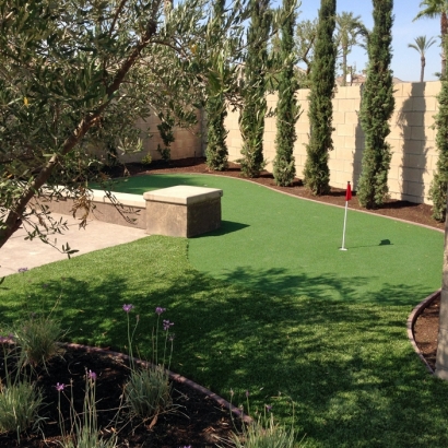 Putting Greens Killeen Texas Synthetic Grass Back Yard