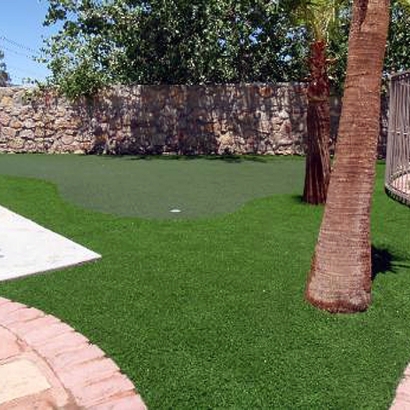 Putting Greens Lometa Texas Artificial Grass Back Yard