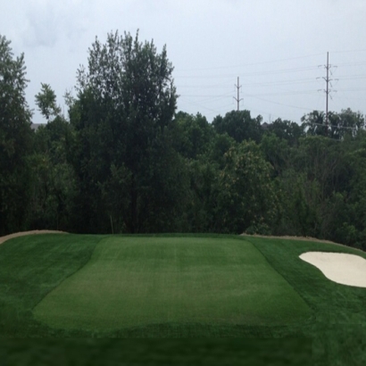 Putting Greens Onion Creek Texas Synthetic Grass Back Yard