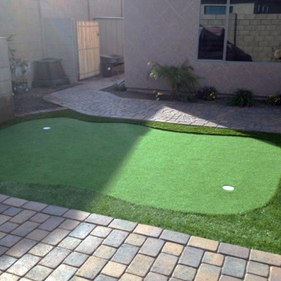 Putting Greens Snook Texas Synthetic Turf Back Yard
