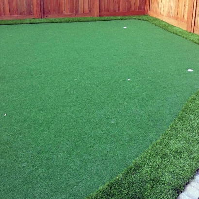 Putting Greens Stockdale Texas Fake Grass Back Yard