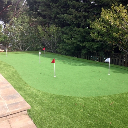 Putting Greens Timberwood Park Texas Synthetic Turf Back