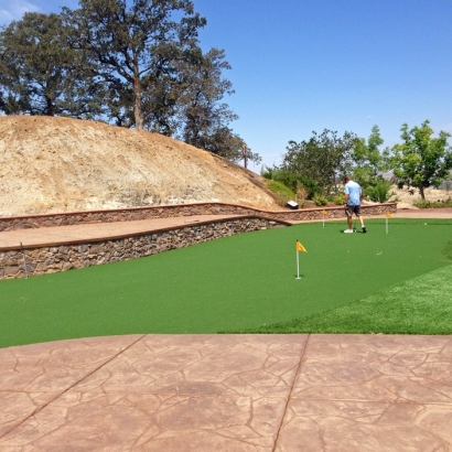 Putting Greens Waelder Texas Synthetic Turf Back Yard