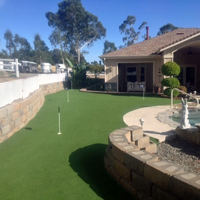 Putting Greens Weimar Texas Synthetic Turf Back Yard