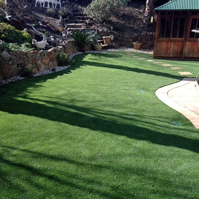 Synthetic Grass Bremond Texas Lawn Pavers Back Yard
