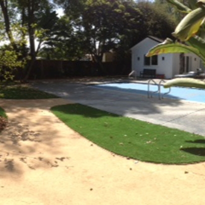 Synthetic Grass Cost Louise, Texas Rooftop, Backyard