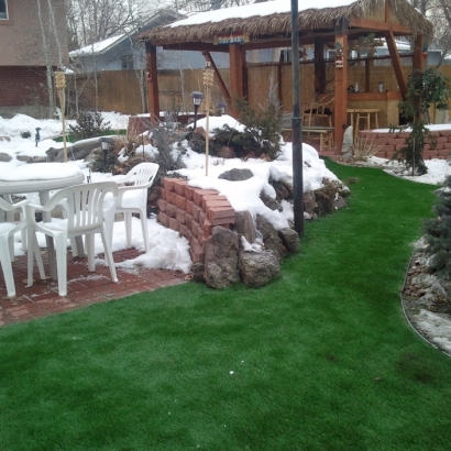 Synthetic Grass Hornsby Bend Texas Landscape Back Yard