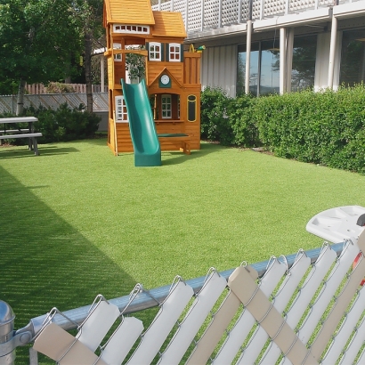 Synthetic Grass Ingram Texas Playgrounds Back Yard