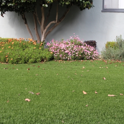 Synthetic Grass Somerset Texas Landscape Front Yard