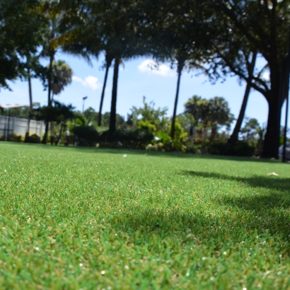 Synthetic Lawn Runge, Texas Landscape Ideas, Recreational Areas