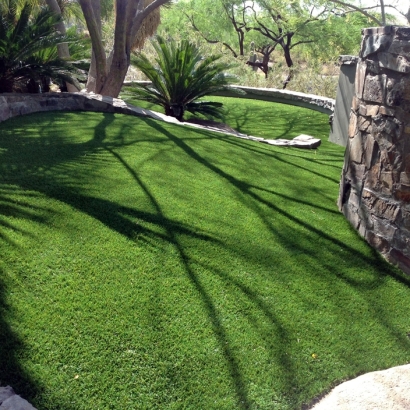 Synthetic Pet Grass Converse Texas for Dogs