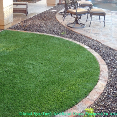 Synthetic Pet Grass Onion Creek Texas for Dogs Front Yard