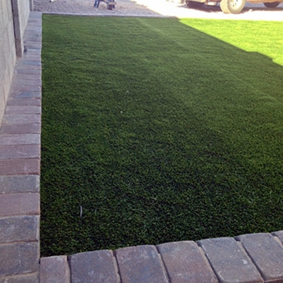 Synthetic Pet Grass Poth Texas for Dogs Front Yard