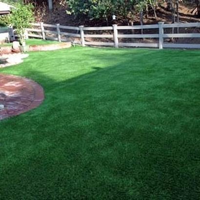 Synthetic Pet Grass Somerville Texas Installation Back Yard