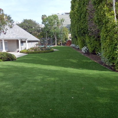 Synthetic Pet Grass Sunrise Beach Village Texas for Dogs