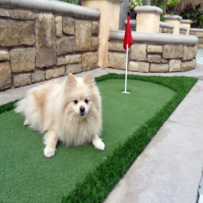 Synthetic Pet Grass Yorktown Texas for Dogs Grass for Dogs