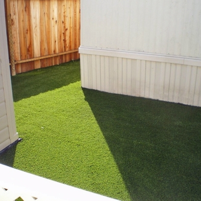 Synthetic Pet Turf Bruceville-Eddy Texas for Dogs Back Yard
