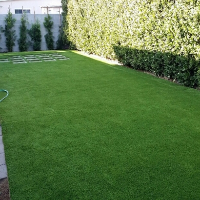 Synthetic Pet Turf Nolanville Texas for Dogs Pavers Back