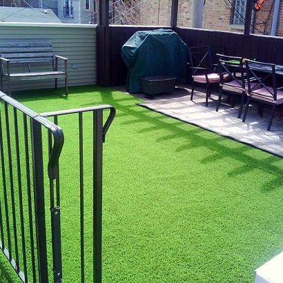 Synthetic Pet Turf Point Venture Texas for Dogs Back Yard