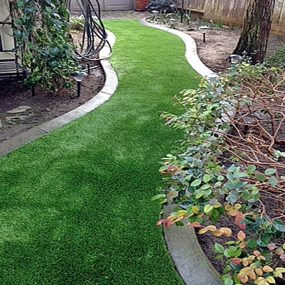 Synthetic Turf Bremond Texas Lawn Back Yard