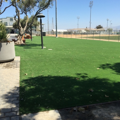 Synthetic Turf DHanis, Texas Home And Garden, Parks