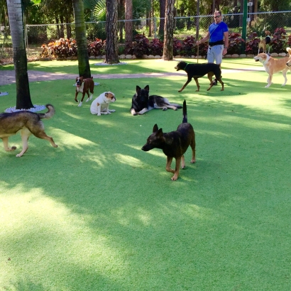 Synthetic Turf Ganado, Texas Watch Dogs, Dogs Park