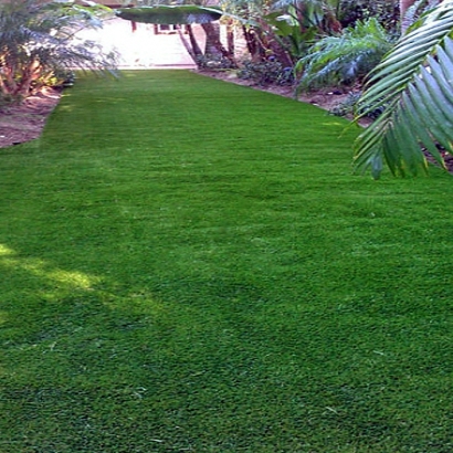 Synthetic Turf Snook Texas Landscape Back Yard