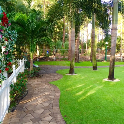 Synthetic Turf Supplier Laguna Park, Texas Landscape Design, Recreational Areas