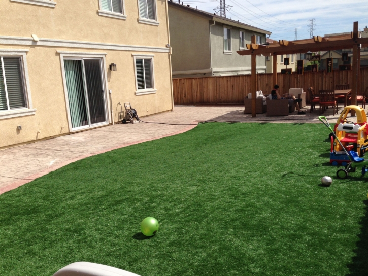 Artificial Grass Brookshire, Texas Lawn And Garden, Backyard Makeover