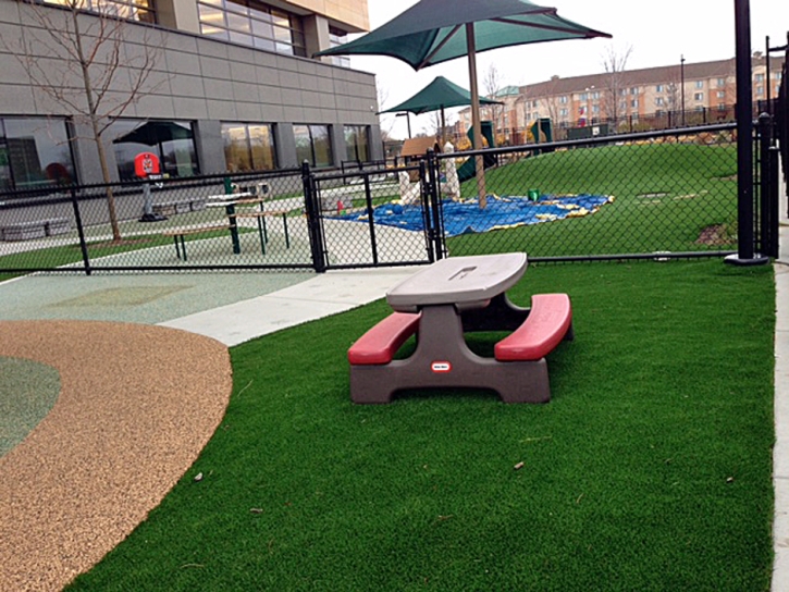 Artificial Grass Grey Forest Texas Playgrounds Swimming
